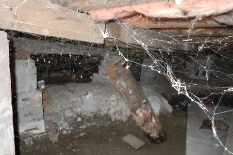 Residential inspection basement crawl-space