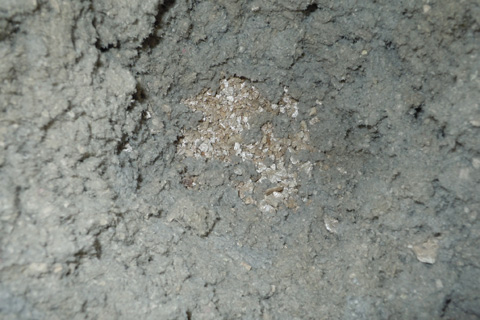 Inspection maison - isolation et vermiculite